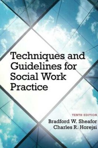 Cover of Techniques and Guidelines for Social Work Practice with Pearson eText Access Card Package