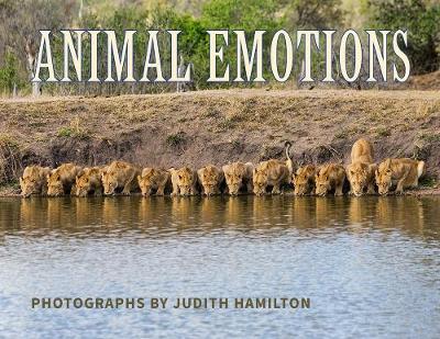 Book cover for Animal Emotions