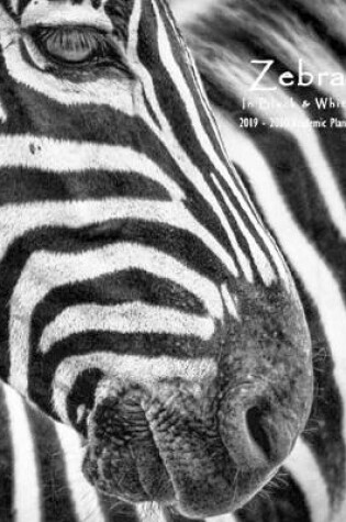 Cover of Zebra in Black & White 2019-2020 Academic Planner