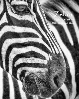 Book cover for Zebra in Black & White 2019-2020 Academic Planner