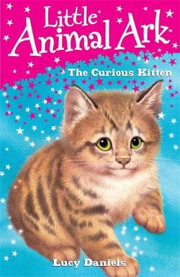 Book cover for The Curious Kitten