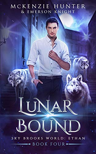 Book cover for Lunar Bound