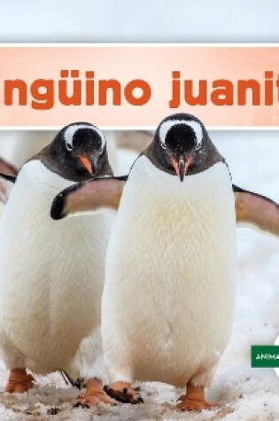 Cover of Ping�ino Juanito