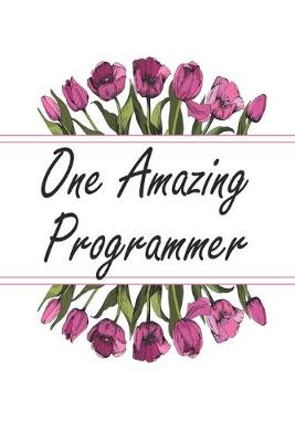 Book cover for One Amazing Programmer