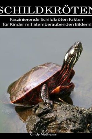 Cover of Schildkröten