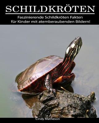 Book cover for Schildkröten