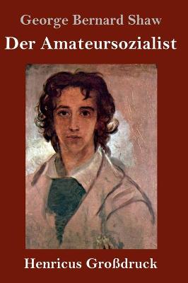Book cover for Der Amateursozialist (Großdruck)