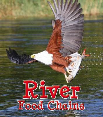 Book cover for River Food Chains