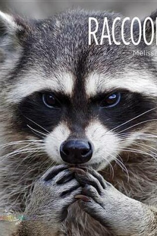 Cover of Raccoons