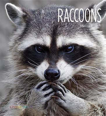 Book cover for Raccoons