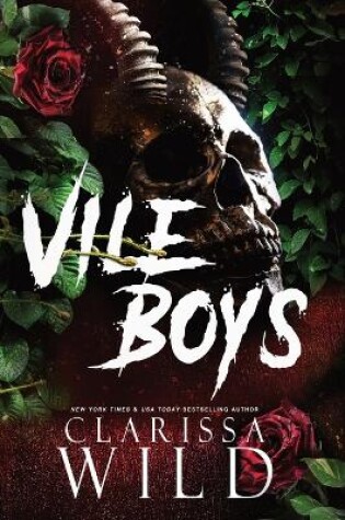 Cover of Vile Boys