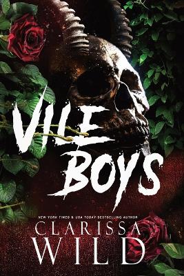 Cover of Vile Boys
