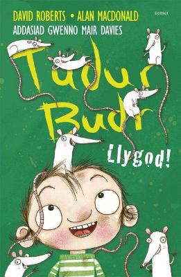 Book cover for Tudur Budr: Llygod!