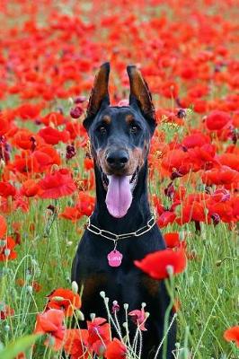 Book cover for Doberman Pinscher Sitting by the lake Journal