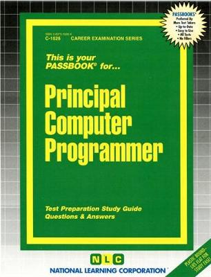 Book cover for Principal Computer Programmer