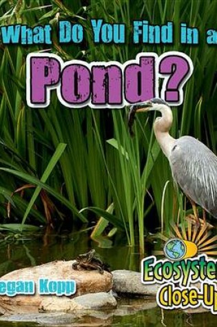 Cover of What Do You Find in a Pond?