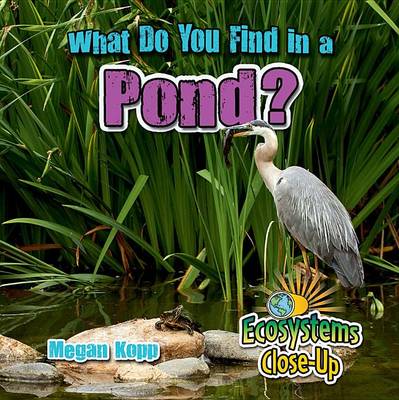 Book cover for What Do You Find in a Pond?