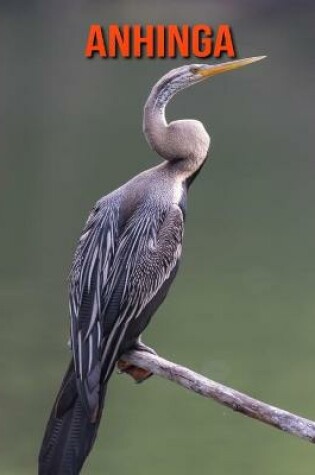 Cover of Anhinga