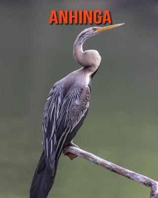 Book cover for Anhinga