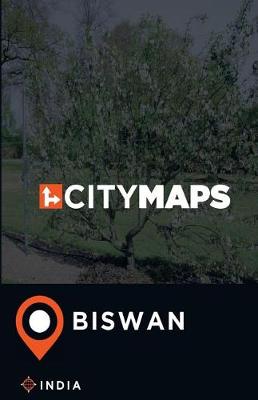 Book cover for City Maps Biswan India