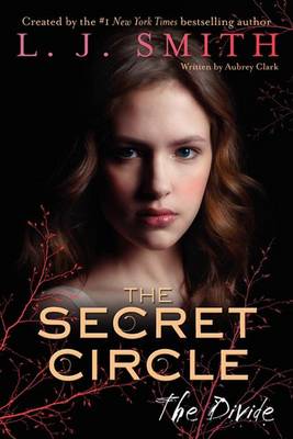 Book cover for The Secret Circle