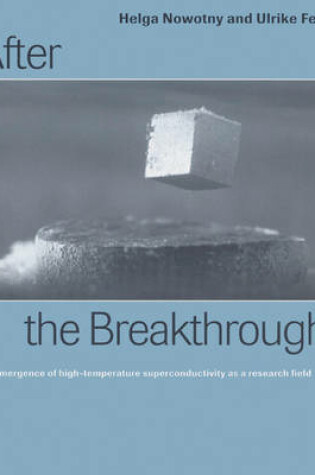 Cover of After the Breakthrough