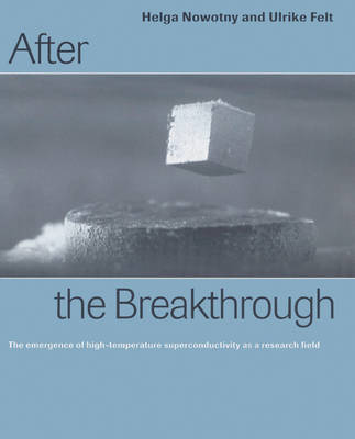 Book cover for After the Breakthrough