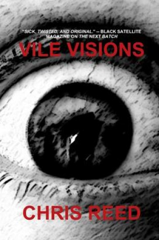 Cover of Vile Visions