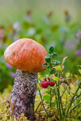 Book cover for Mushroom Notebook