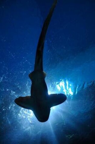 Cover of Silhouette of a Hammerhead Shark Journal