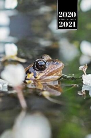 Cover of Frog Toad Week Planner Weekly Organizer Calendar 2020 / 2021 - White Flowers