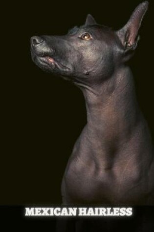 Cover of Mexican Hairless