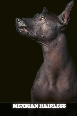 Book cover for Mexican Hairless