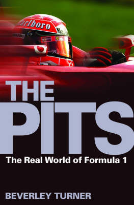 Book cover for The Pits