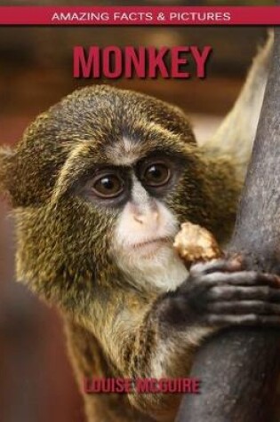 Cover of Monkey