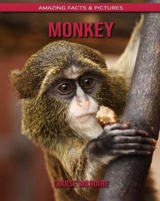 Book cover for Monkey