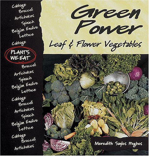 Book cover for Green Power