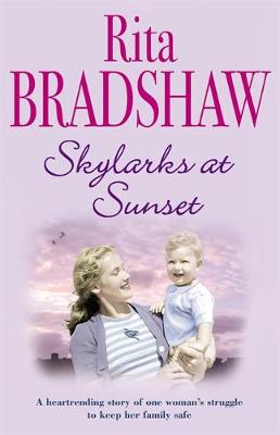 Book cover for Skylarks At Sunset