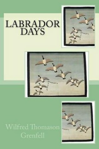 Cover of Labrado days