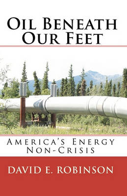 Book cover for Oil Beneath Our Feet