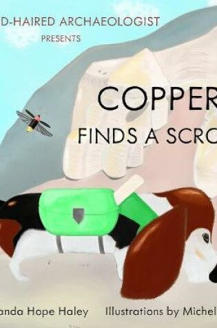 Cover of Copper Finds a Scroll