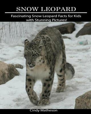 Book cover for Snow Leopard