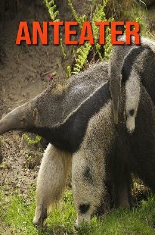 Cover of Anteater