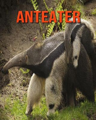 Book cover for Anteater