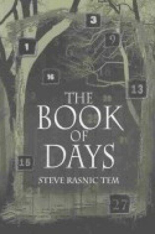 Cover of The Book of Days