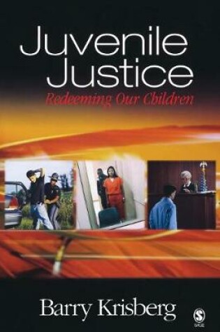 Cover of Juvenile Justice