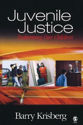 Book cover for Juvenile Justice