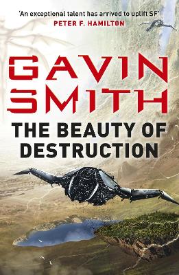 Book cover for The Beauty of Destruction