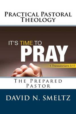 Book cover for Practical Pastoral Theology