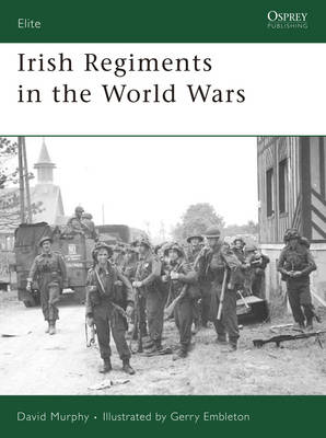 Cover of Irish Regiments in the World Wars